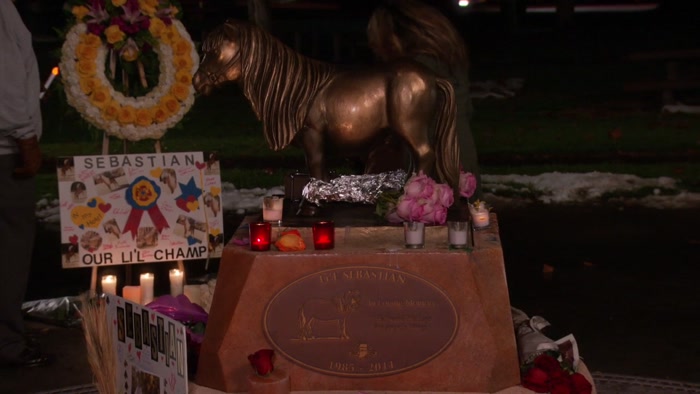 LITTLE SEBASTIAN.  