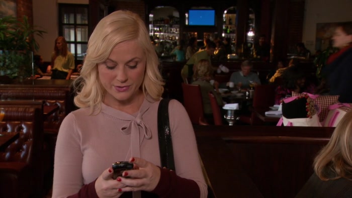 DEAR CONGRESS, IT'S LESLIE AGAIN. 