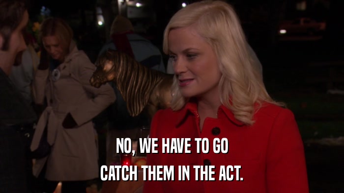 NO, WE HAVE TO GO CATCH THEM IN THE ACT. 