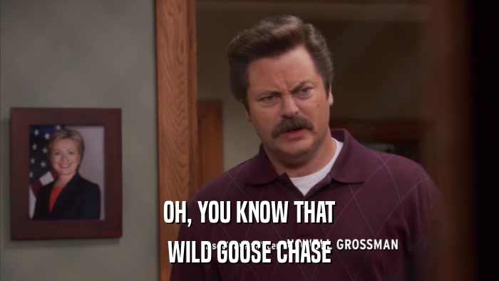 OH, YOU KNOW THAT WILD GOOSE CHASE 