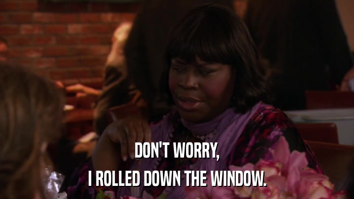 DON'T WORRY, I ROLLED DOWN THE WINDOW. 