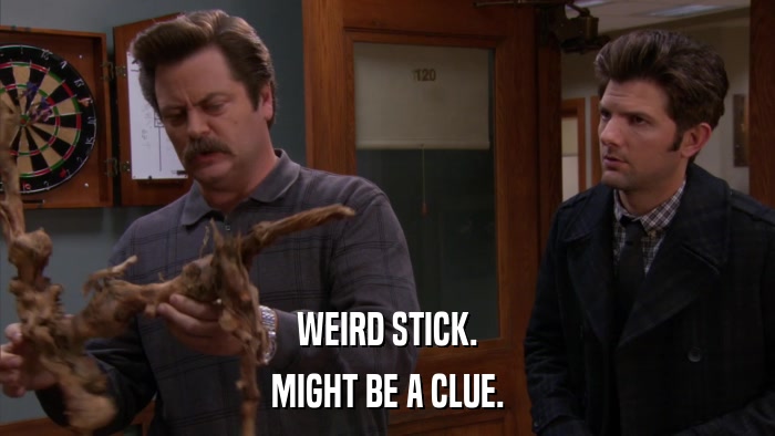 WEIRD STICK. MIGHT BE A CLUE. 