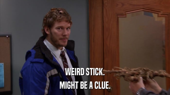 WEIRD STICK. MIGHT BE A CLUE. 