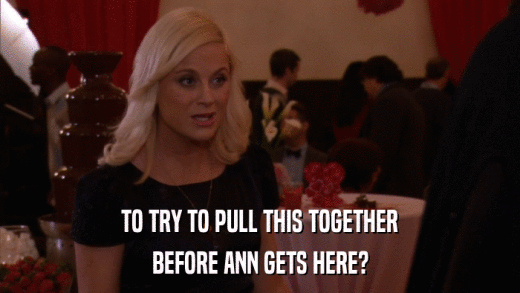 TO TRY TO PULL THIS TOGETHER BEFORE ANN GETS HERE? 