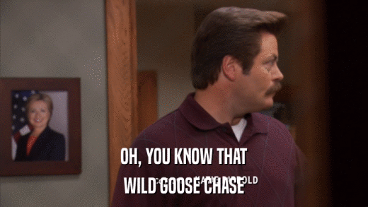 OH, YOU KNOW THAT WILD GOOSE CHASE 