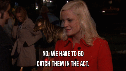 NO, WE HAVE TO GO CATCH THEM IN THE ACT. 