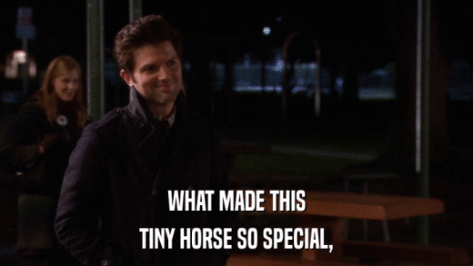 WHAT MADE THIS TINY HORSE SO SPECIAL, 