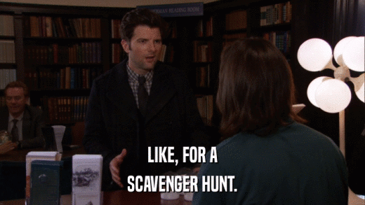 LIKE, FOR A SCAVENGER HUNT. 