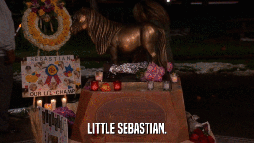 LITTLE SEBASTIAN.  