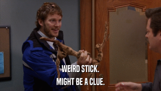 WEIRD STICK. MIGHT BE A CLUE. 