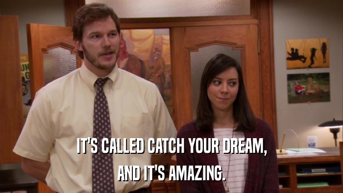 IT'S CALLED CATCH YOUR DREAM, AND IT'S AMAZING. 