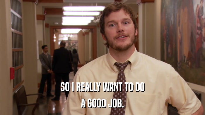 SO I REALLY WANT TO DO A GOOD JOB. 