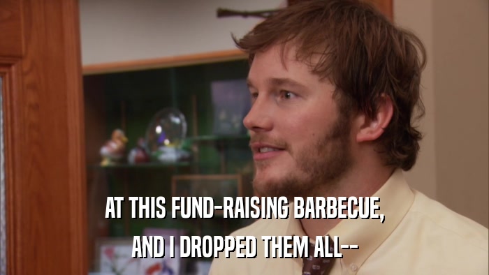 AT THIS FUND-RAISING BARBECUE, AND I DROPPED THEM ALL-- 
