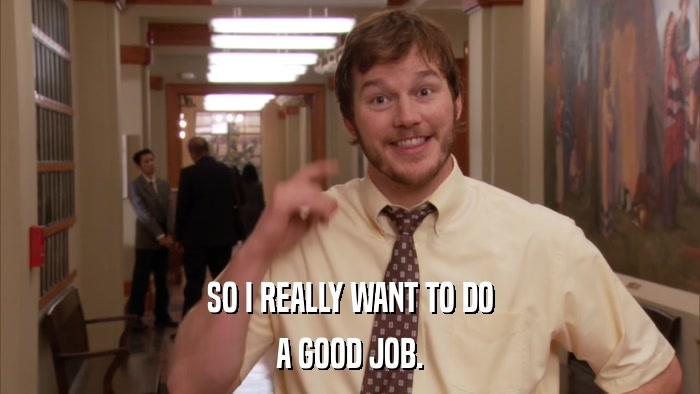 SO I REALLY WANT TO DO A GOOD JOB. 