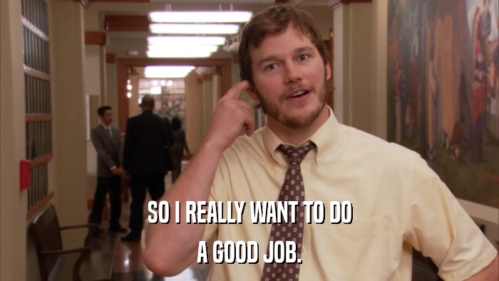 SO I REALLY WANT TO DO A GOOD JOB. 