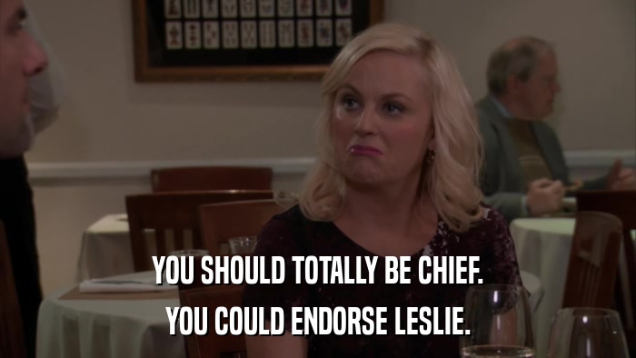 YOU SHOULD TOTALLY BE CHIEF. YOU COULD ENDORSE LESLIE. 
