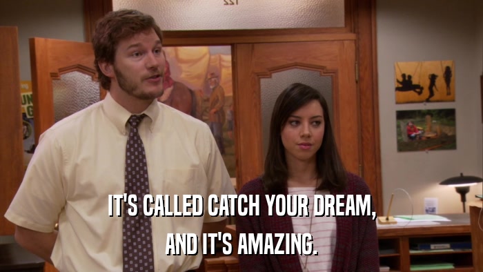 IT'S CALLED CATCH YOUR DREAM, AND IT'S AMAZING. 