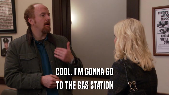 COOL. I'M GONNA GO TO THE GAS STATION 