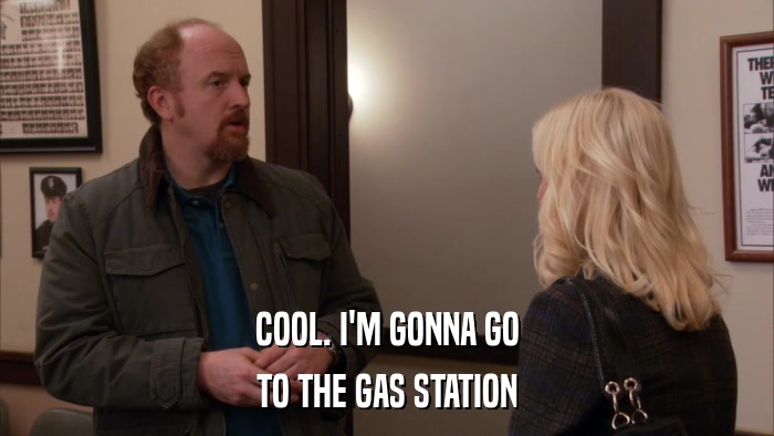 COOL. I'M GONNA GO TO THE GAS STATION 