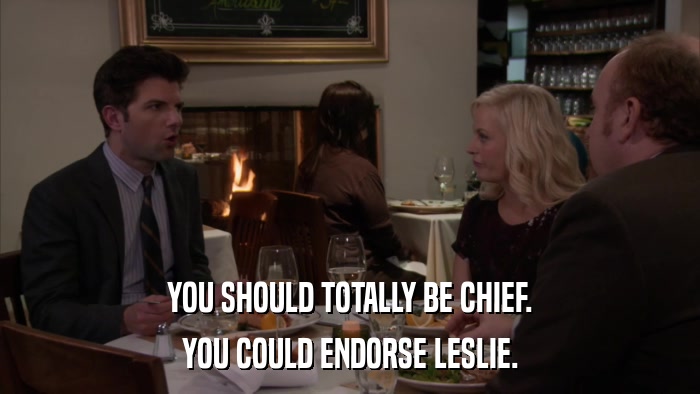 YOU SHOULD TOTALLY BE CHIEF. YOU COULD ENDORSE LESLIE. 
