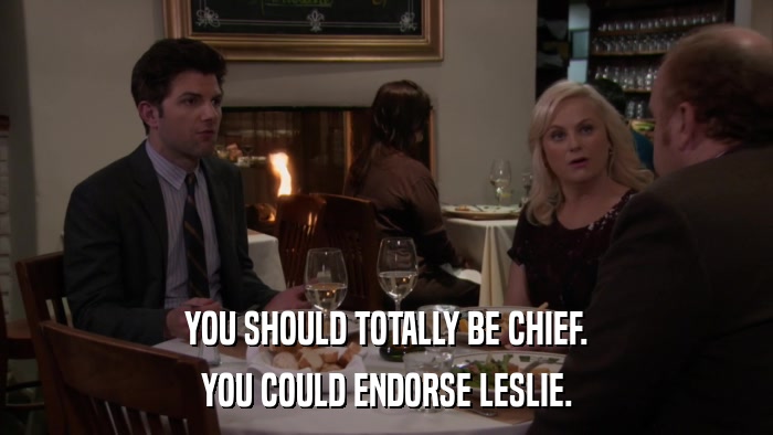 YOU SHOULD TOTALLY BE CHIEF. YOU COULD ENDORSE LESLIE. 