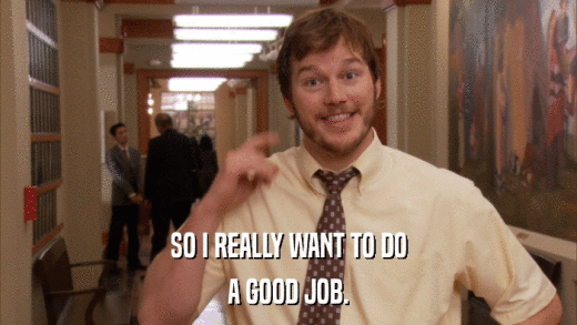 SO I REALLY WANT TO DO A GOOD JOB. 
