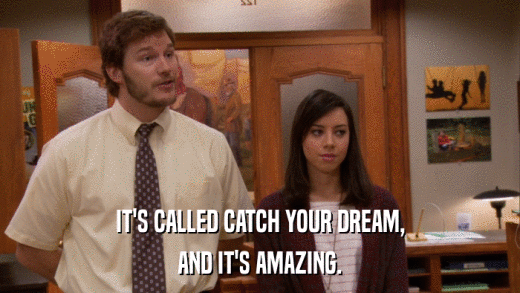 IT'S CALLED CATCH YOUR DREAM, AND IT'S AMAZING. 