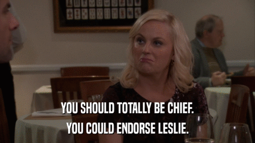 YOU SHOULD TOTALLY BE CHIEF. YOU COULD ENDORSE LESLIE. 