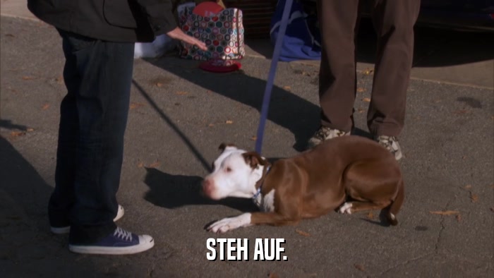 STEH AUF.  