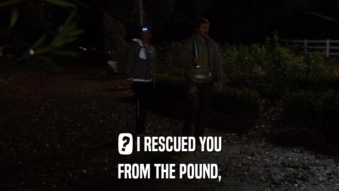 ? I RESCUED YOU FROM THE POUND, 
