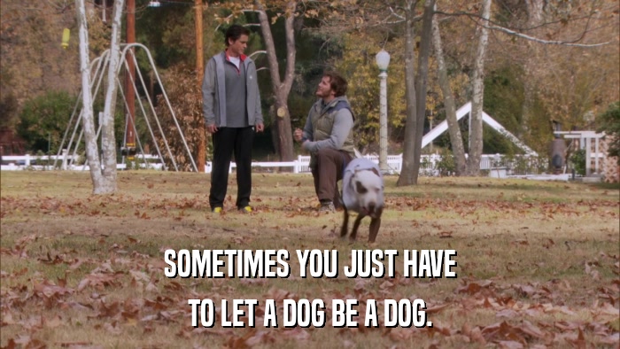 SOMETIMES YOU JUST HAVE TO LET A DOG BE A DOG. 