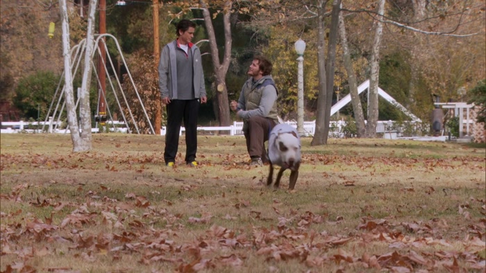 SOMETIMES YOU JUST HAVE TO LET A DOG BE A DOG. 