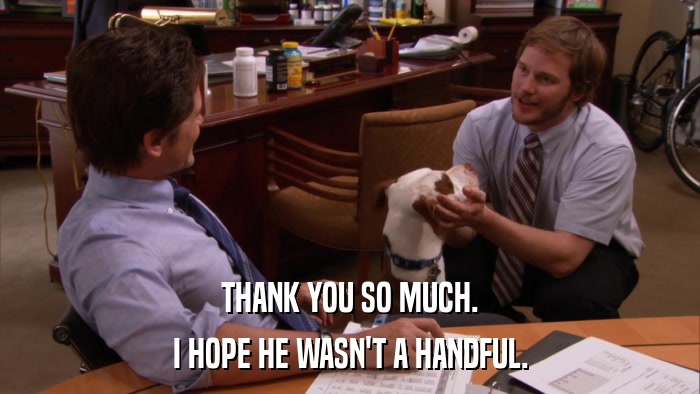 THANK YOU SO MUCH. I HOPE HE WASN'T A HANDFUL. 