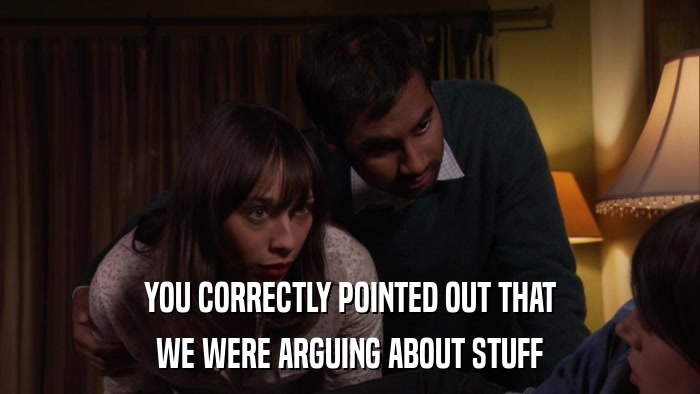 YOU CORRECTLY POINTED OUT THAT WE WERE ARGUING ABOUT STUFF 