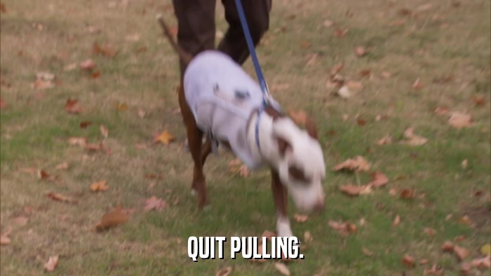 QUIT PULLING.  