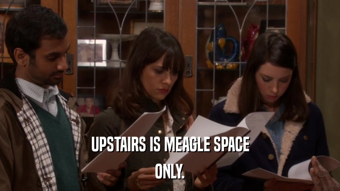 UPSTAIRS IS MEAGLE SPACE ONLY. 