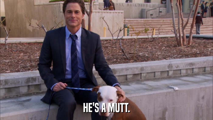 HE'S A MUTT.  