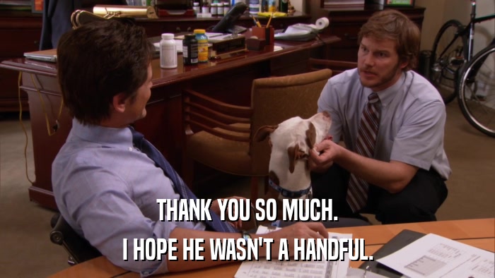 THANK YOU SO MUCH. I HOPE HE WASN'T A HANDFUL. 