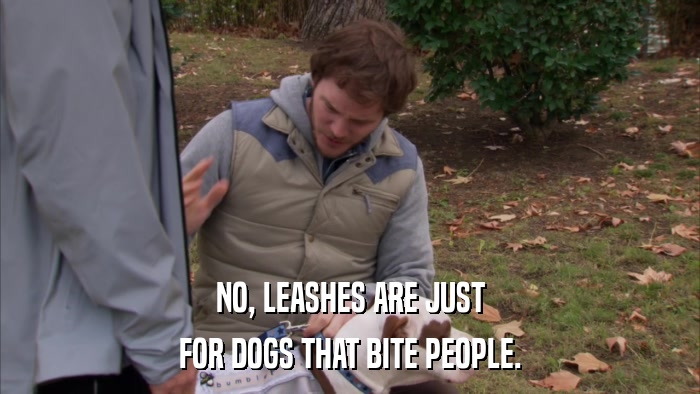 NO, LEASHES ARE JUST FOR DOGS THAT BITE PEOPLE. 