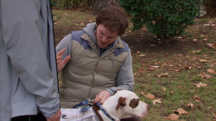 NO, LEASHES ARE JUST FOR DOGS THAT BITE PEOPLE. 