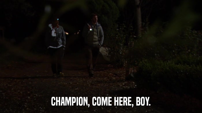 CHAMPION, COME HERE, BOY.  