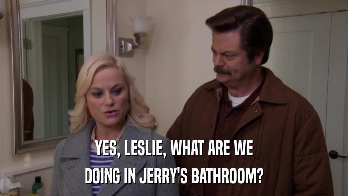 YES, LESLIE, WHAT ARE WE DOING IN JERRY'S BATHROOM? 