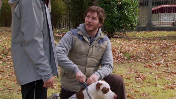 CHRIS, CHAMPION'S MY DOG, OKAY? 