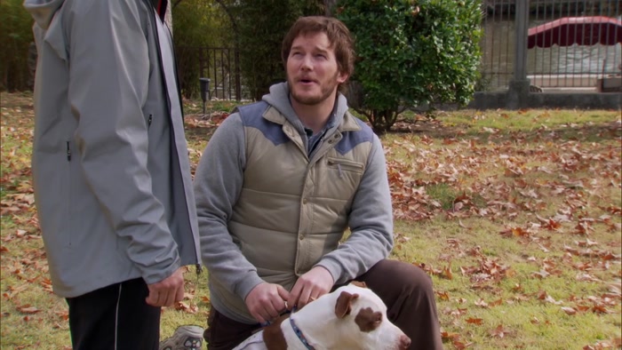 CHRIS, CHAMPION'S MY DOG, OKAY? 