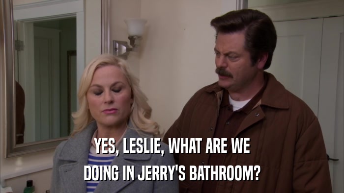 YES, LESLIE, WHAT ARE WE DOING IN JERRY'S BATHROOM? 