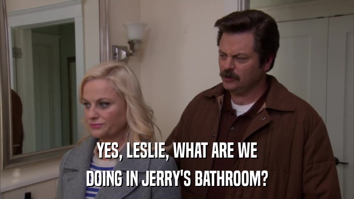 YES, LESLIE, WHAT ARE WE DOING IN JERRY'S BATHROOM? 