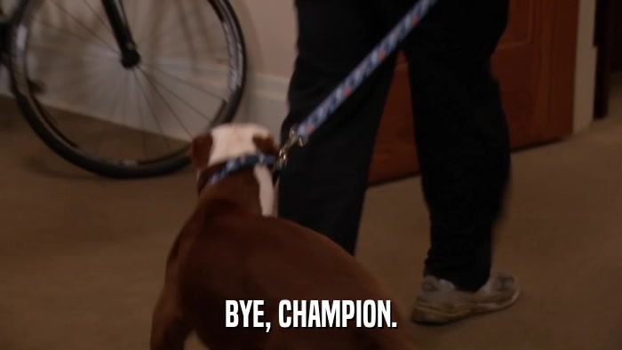 BYE, CHAMPION.  