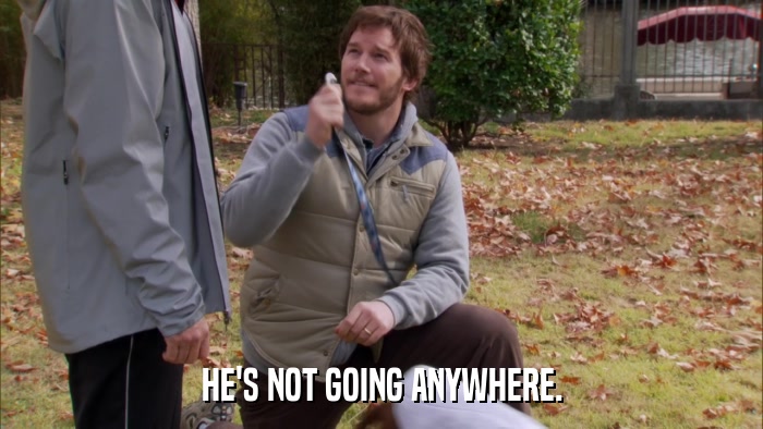 HE'S NOT GOING ANYWHERE.  
