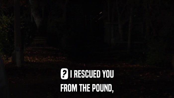 ? I RESCUED YOU FROM THE POUND, 
