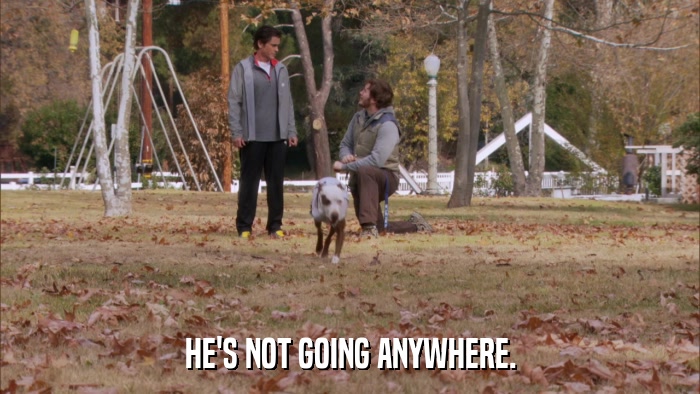 HE'S NOT GOING ANYWHERE.  